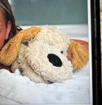 Gezocht : deze knuffel hond, Ophalen of Verzenden, Hond