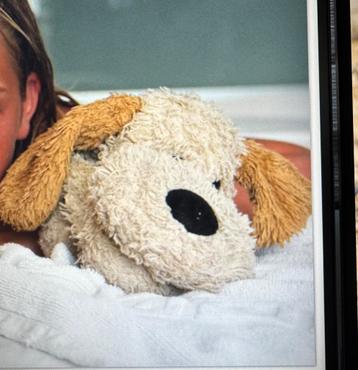 Gezocht : deze knuffel hond beschikbaar voor biedingen