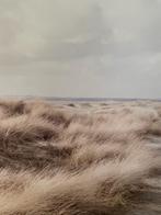 Duinlandschap met helmgras in natuurlijke tinten., Antiek en Kunst, Ophalen