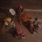 Prachtige botanische paddenstoelen in papier-mâche, Antiek en Kunst, Verzenden
