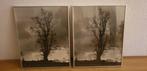 bomen met lijst, Ophalen, Voor 1940, Gebruikt, Natuur