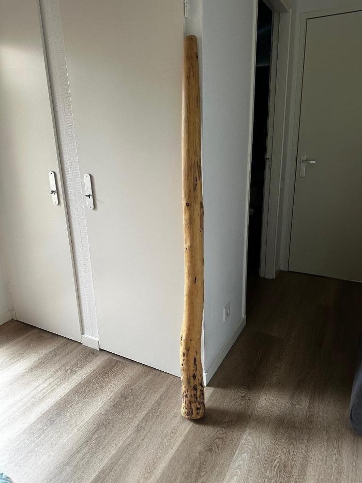 Digeridoo, Muziek en Instrumenten, Blaasinstrumenten | Didgeridoos, Zo goed als nieuw, Ophalen