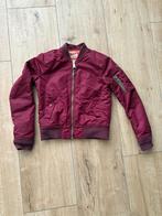 Schott Bomber Jack, Schott, Ophalen of Verzenden, Maat 36 (S), Gedragen