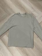 Mooie luchtige Zara set - Maat L, Kleding | Dames, T-shirts, Beige, Maat 42/44 (L), Ophalen of Verzenden, Zo goed als nieuw