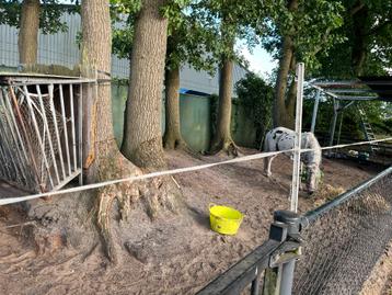 Paddock plus inloopstal voor max drie shetlanders beschikbaar voor biedingen
