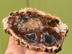 Versteend hout schijf plak dubbel gepolijst mineralen 3, Ophalen of Verzenden, Mineraal