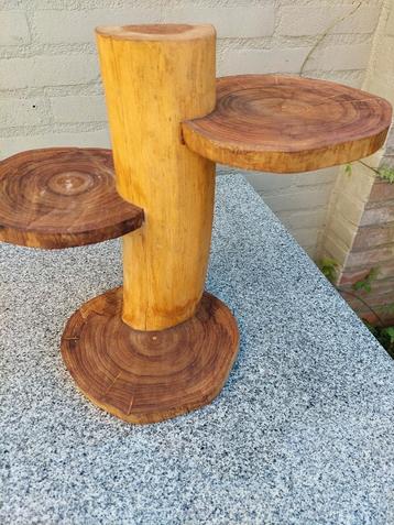 Robuuste planten standaard beschikbaar voor biedingen