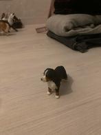 Schleich Berner Sennen hond - 16397, Ophalen of Verzenden, Zo goed als nieuw