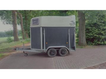 XX-Trail 1,5 paards beschikbaar voor biedingen