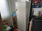 Diepvries, Witgoed en Apparatuur, Vriezers en Diepvrieskisten, Ophalen, Gebruikt, Minder dan 60 cm, 140 tot 160 cm