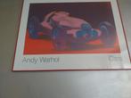 Andy Warhol Cars Mercedes W125 uit 1937, Antiek en Kunst, Kunst | Litho's en Zeefdrukken, Ophalen