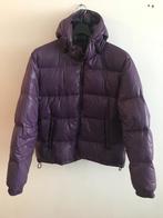 paars donsjack te koop in nieuwstaat, Paars, Maat 42/44 (L), Scotch & Soda, Ophalen of Verzenden