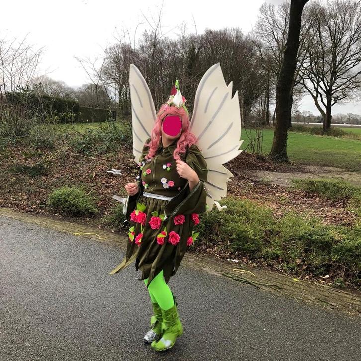 Prachtige elfjes, de raad van elf -jes  met vleugels, Kleding | Dames, Carnavalskleding en Feestkleding, Zo goed als nieuw, Accessoires