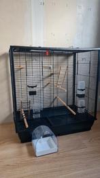 Grote vogelkooi met assecoires
48dx78 brx80h, Dieren en Toebehoren, Vogels | Hokken en Kooien, Ophalen, Gebruikt, Metaal, Vogelkooi