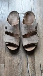 Slippers Solidus (Spezial goud) 43, Ophalen of Verzenden, Zo goed als nieuw, Overige kleuren