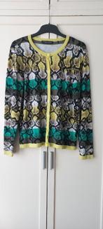 Roberto Sarto vest maat 42 zgan, Kleding | Dames, Truien en Vesten, Overige kleuren, Maat 42/44 (L), Ophalen of Verzenden, Zo goed als nieuw