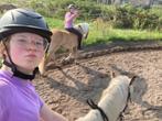 2 VERZORGERS/BIJRIJDERS/LEASERS AANGEBODEN, Dieren en Toebehoren, Paarden en Pony's | Overige Paardenspullen, Ophalen of Verzenden