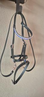 Hobbyhorse hoofdstel, Ophalen of Verzenden, Nieuw