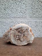Stammetje versteend hout no 2, Verzenden, Mineraal