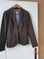 kort stoer damesjasje, Kleding | Dames, Maat 38/40 (M), Bruin, Ophalen of Verzenden, Zo goed als nieuw