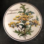 Villeroy & Boch porseleinen schaaltje Botanica., Nieuw, Ophalen of Verzenden