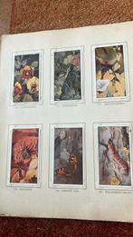 6 x verkade album, Ophalen of Verzenden, Gelezen