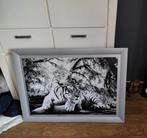 Grote lijst met panter poster, Ophalen, Schilderij, 75 cm of meer