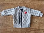 Vest grijs dirkje maat 56, Gebruikt, Truitje of Vestje, Dirkje, Ophalen of Verzenden