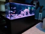 Aquarium 450 liter 151x50x65 nieuwstaat, Dieren en Toebehoren, Ophalen of Verzenden, Zo goed als nieuw, Leeg aquarium