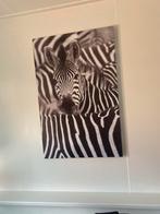 Zebra Schilderij Canvas, Ophalen, Zo goed als nieuw, Schilderij, 50 tot 75 cm