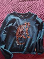 WE Fashion Trui Maat 146/152 met Tijger, Kinderen en Baby's, Kinderkleding | Maat 146, Jongen of Meisje, Trui of Vest, Ophalen of Verzenden