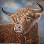 Schilderij schotse hooglander uit eigen atelier, Ophalen of Verzenden
