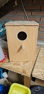 Broedhok voor valkparkieten, Meerdere dieren, Parkiet