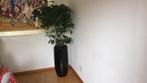 Zwarte design hooglans plantenpot / vaas, Ophalen, Kunststof, Gebruikt, 50 tot 75 cm