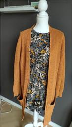 Vest HV Society - maat S, Kleding | Dames, Truien en Vesten, Geel, Ophalen of Verzenden, Maat 36 (S), HV SOCIETY