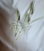 Emerald kunstbloem / kunsttak korenaar, Verzenden, Nieuw