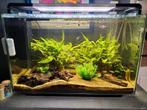 Te koop zoetwateraqaurium SuperFish home 110 compleet, Dieren en Toebehoren, Vissen | Aquaria en Toebehoren, Ophalen, Zo goed als nieuw