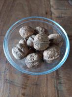 Walnoten uit eigen tuin. Van goede kwaliteit, Diversen, Levensmiddelen, Ophalen