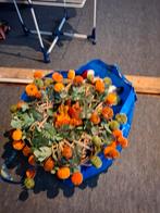 Tas met kerstdecoratie, Diversen, Kerst, Ophalen