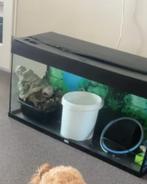 Aquarium met filters 240 liter, Dieren en Toebehoren, Ophalen of Verzenden, Zo goed als nieuw, Leeg aquarium