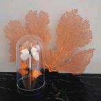 Bijzondere zalm kleurige zeegras ornament op voet, Nieuw, Ophalen of Verzenden, X, X