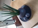 Decoratie, Ophalen of Verzenden, Cactus, Minder dan 100 cm