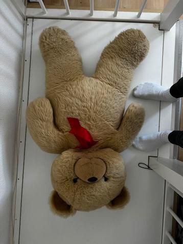 Grote Teddybeer beschikbaar voor biedingen