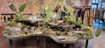 3 Botanische interieur tafels., Ophalen, Zo goed als nieuw
