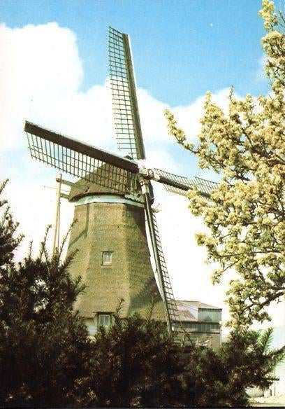 (GD303) Ansichtkaart Oene molen Werklust 1976, Verzamelen, Ansichtkaarten | Nederland, Ophalen of Verzenden, 1960 tot 1980, Ongelopen