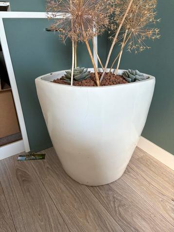 Witte Plantenbak / Pot beschikbaar voor biedingen
