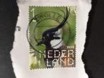 2851 NL 2021 Beleef de Natuur - De Onlanden - gestempeld *, Postzegels en Munten, Postzegels | Nederland, Na 1940, Ophalen, Gestempeld