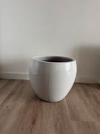 Intratuin Plantenpot - Zo goed als nieuw!, Overige materialen, Rond, Binnen, Zo goed als nieuw