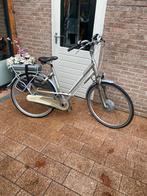 Sparta ion rx.met accu raport., 51 tot 55 cm, Ophalen, Zo goed als nieuw, Sparta