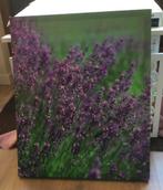 Tuin canvas Lavendel, Ophalen